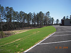  Hydroseeding Project - Roadside Application - Middle Growth Stage 