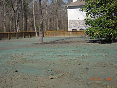  Hydroseeding Project - Residential Lawn Application 