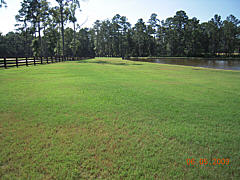  Hydroseeding Results - Large Tract 