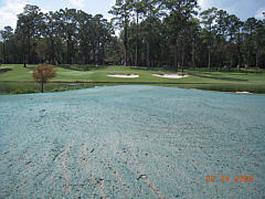  Commercial Hydroseeding - Golf Course Seeding 