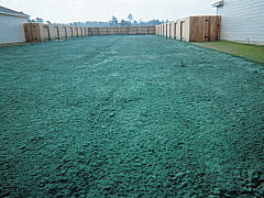  Thick Residential Hydroseeding Application 