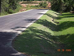  Hydroseeding Project - Roadside Application - Early Growth Stage 