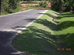  Hydroseeding Project - Early Growth Stage 