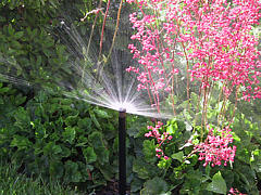  Irrigation Project - Residential Landscape Sprinklers 