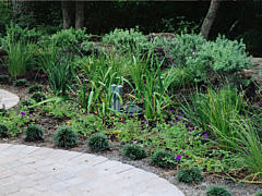  Landscaping Project - Poolside Landscaping / Foliage 