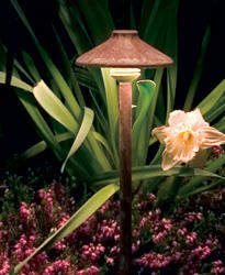  FX Luminaire Lighting - Outdoor Bed Lighting 