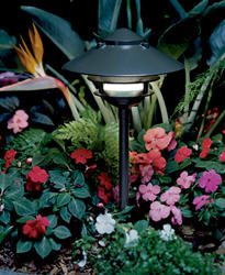  FX Luminaire Lighting - Outdoor Path Lighting 